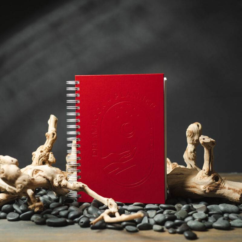 The 2023 Dragontree Dreambook + Planner
